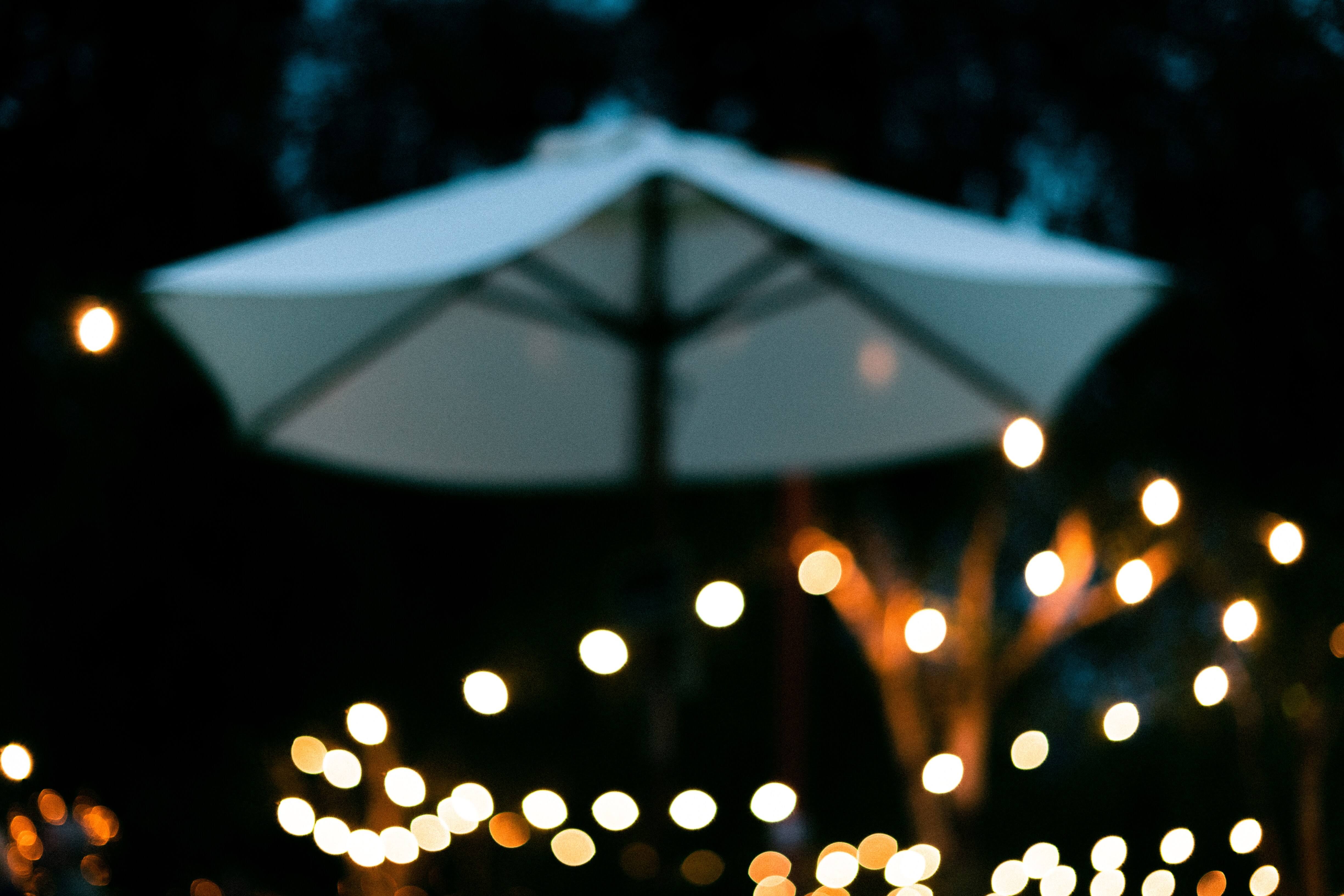 shallow depth of field - Fedor Vasilev Photographer in Vienna