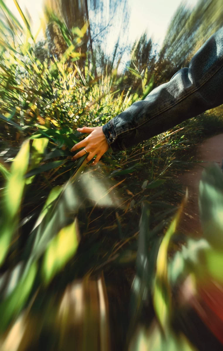 shallow depth of field - Fedor Vasilev Photographer in Vienna