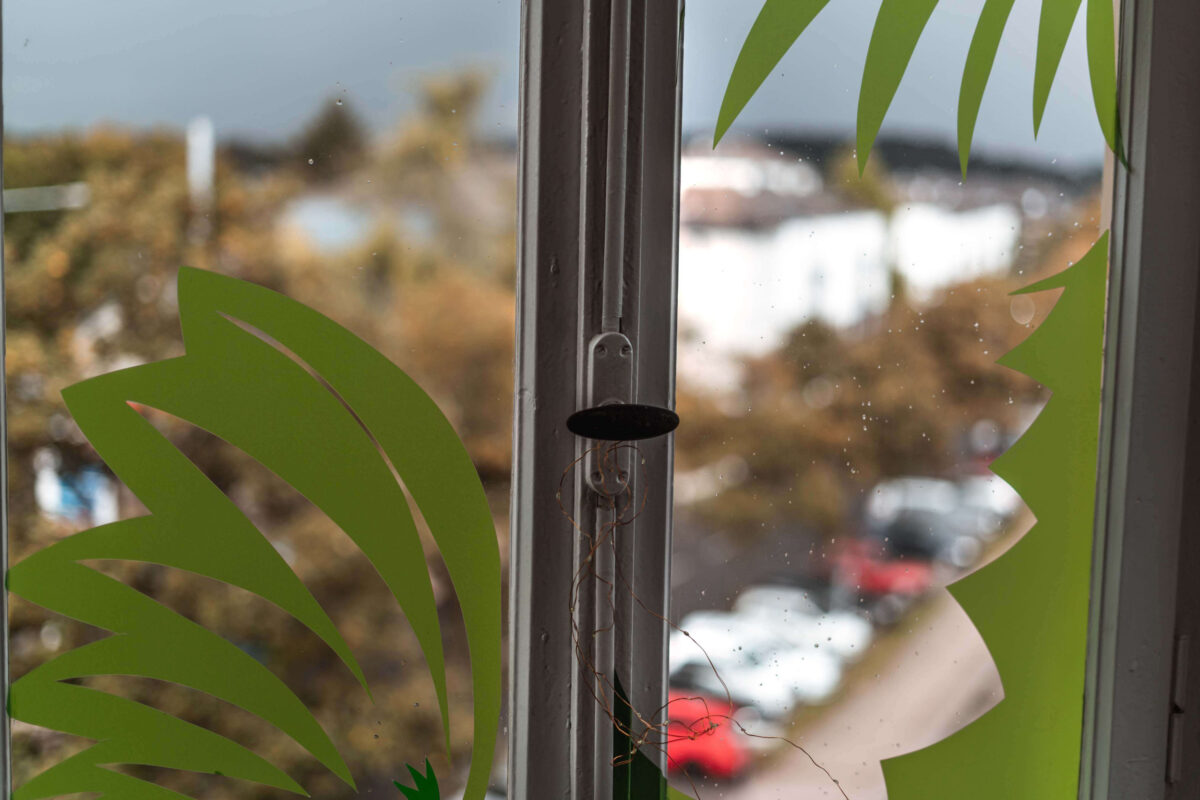 a photograph with the shallow depth of field