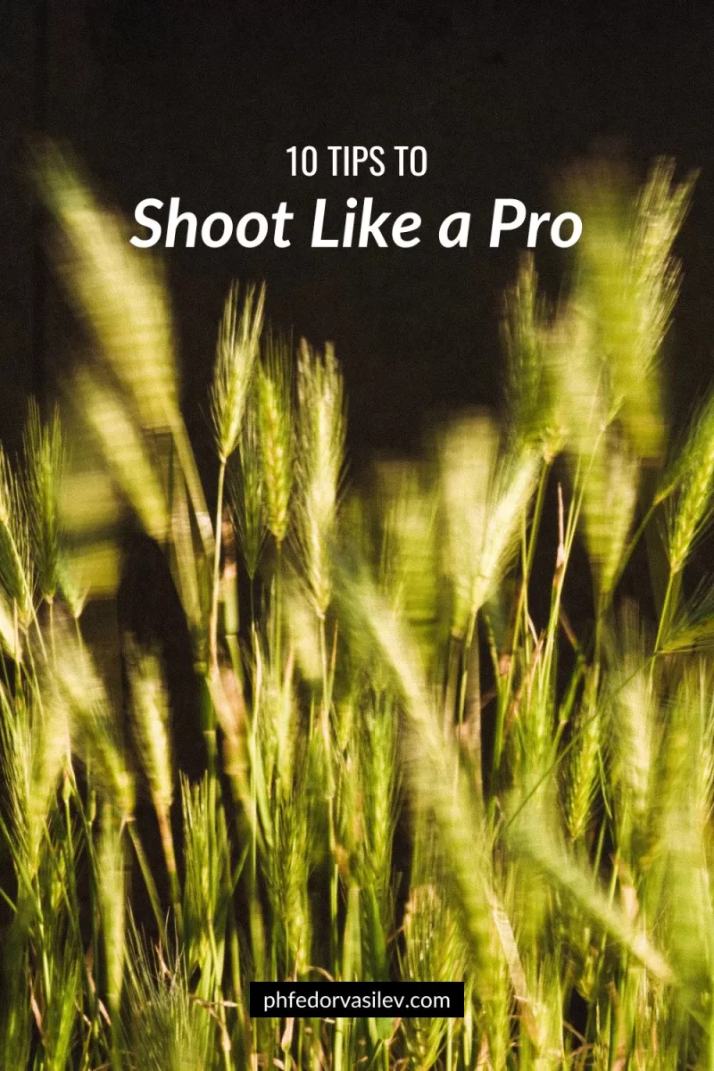 Top 10 tips to shoot like a pro: photo of cereal grass with motion blur