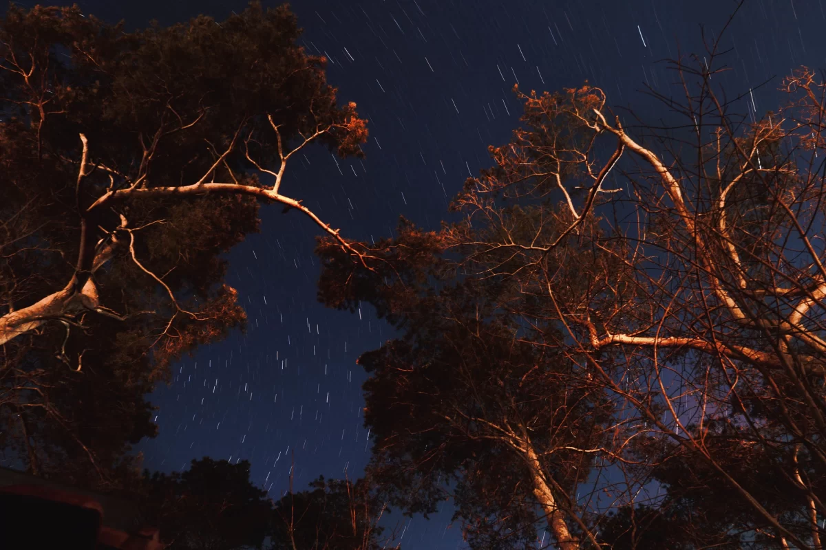 Camera settings for long exposure to shoot stars