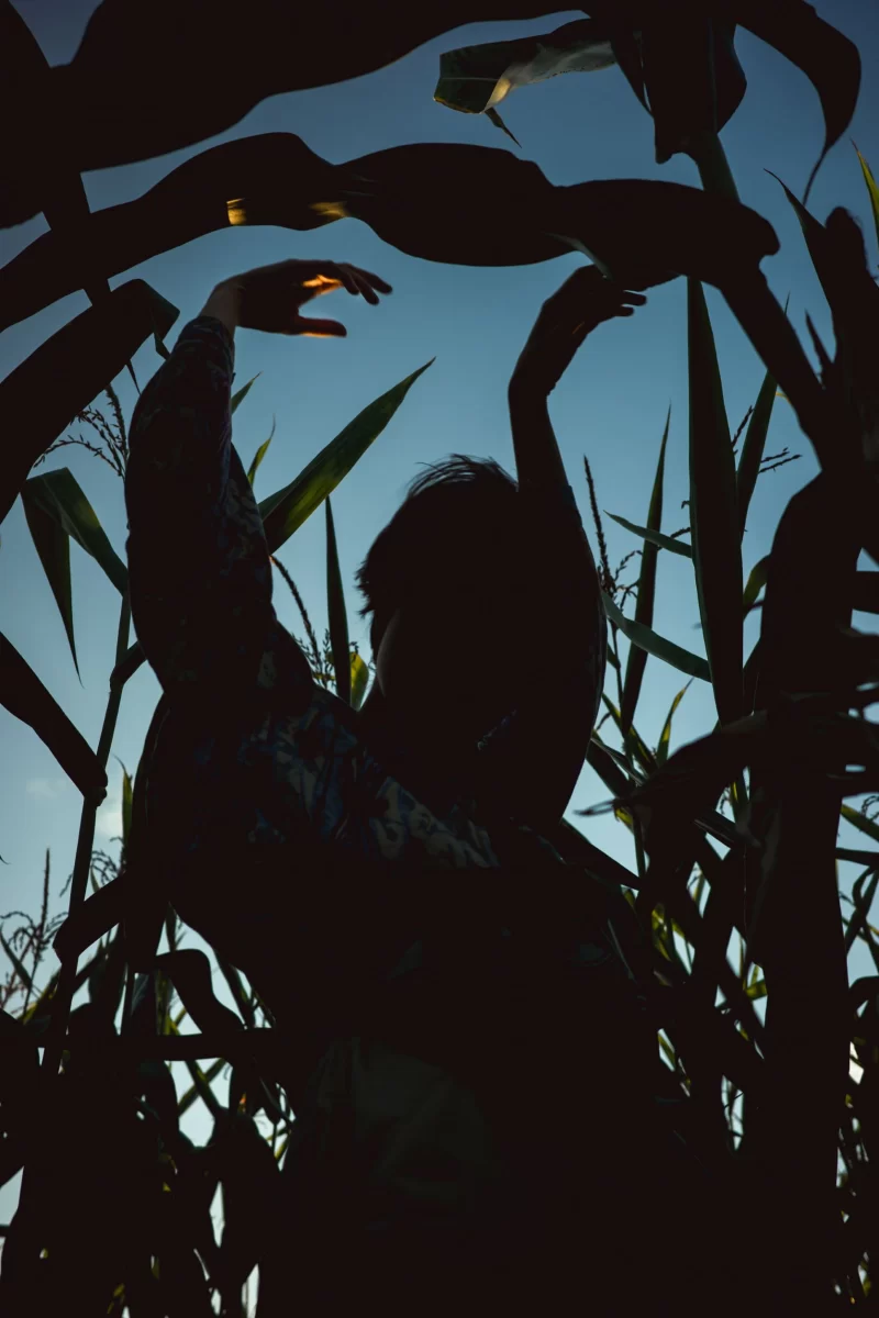 camera settings info of a fine art shot