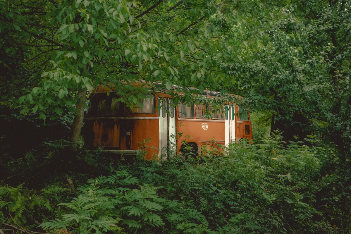 low contrast in photography