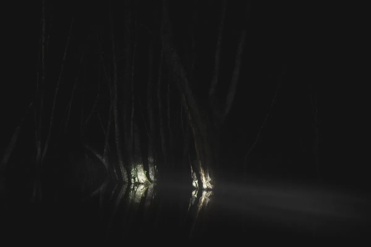 Artificial light photography - Fedor Vasilev Photographer in Vienna