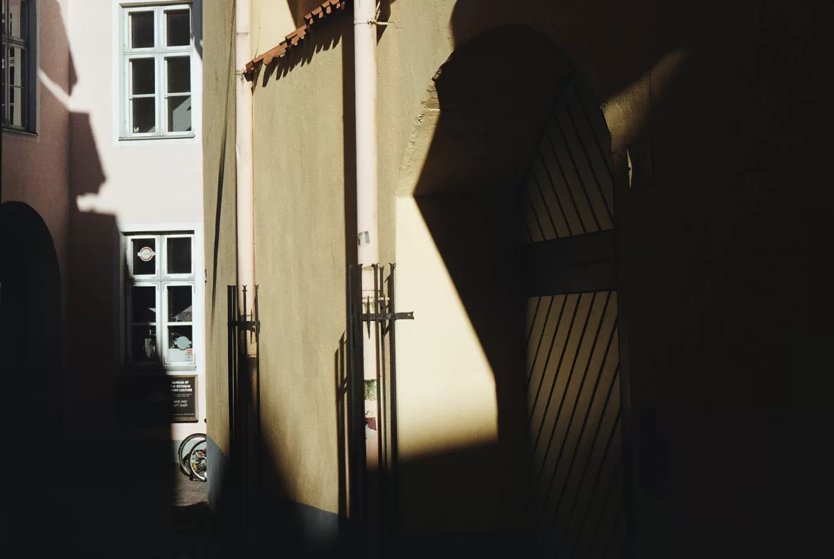 Start learning photography by focusing on light