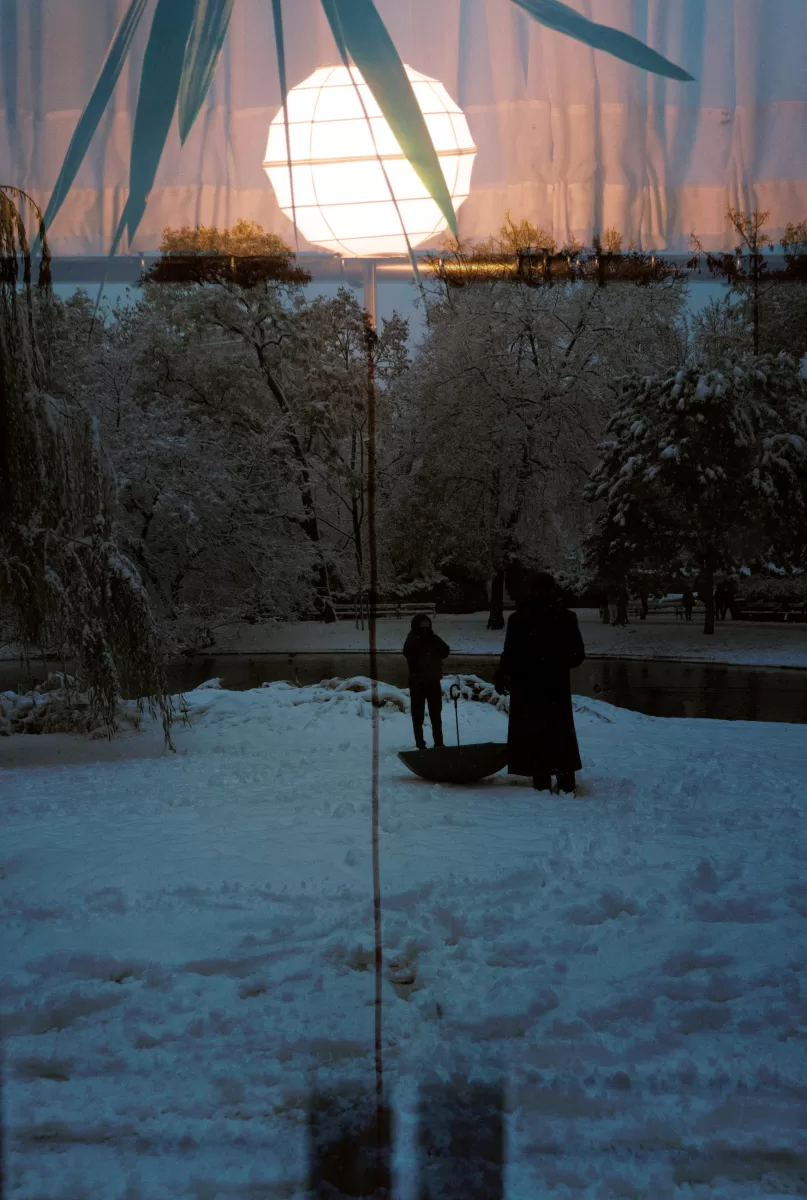 A double exposure photo of Stadtpark in Vienna by Photographer Fedor Vasilev