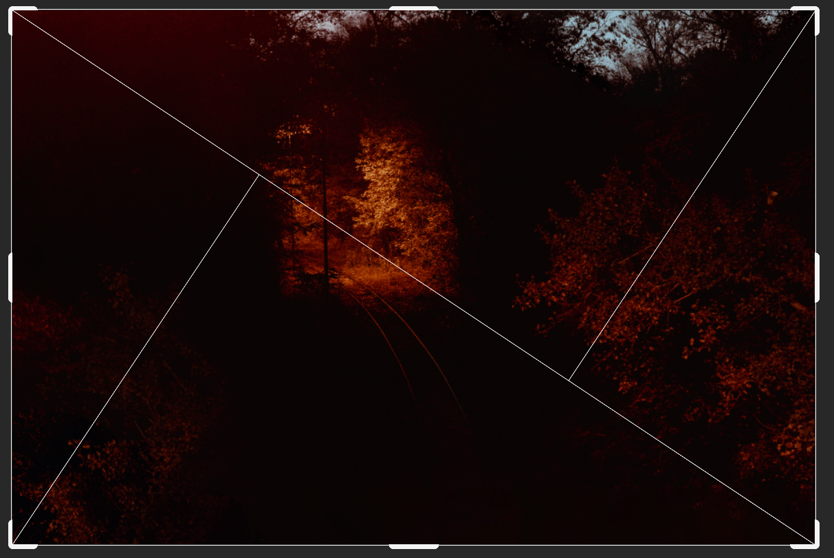 the golden triangle rule in photography. Example of a photograph in nature